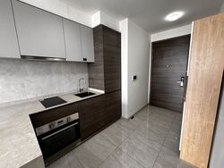 The Florence Residences (D19), Apartment #528168271